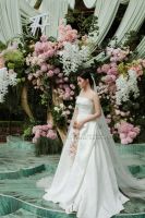 fairy - ảnh nhỏ  1