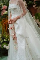fairy - ảnh nhỏ 2